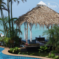 фото из отзыва ID 858916