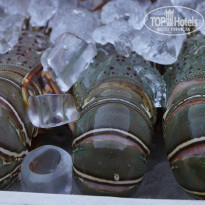 фото из отзыва ID 858916