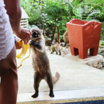 фото из отзыва ID 858926