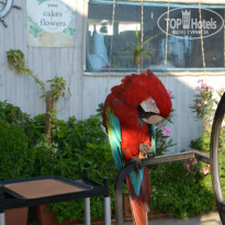 фото из отзыва ID 858976