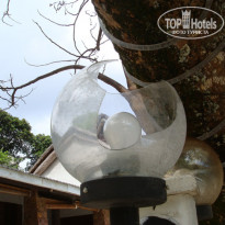 фото из отзыва ID 85825