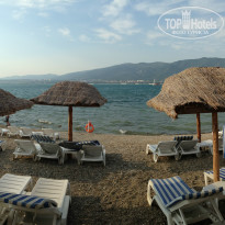 фото из отзыва ID 859077