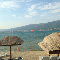 фото из отзыва ID 859077