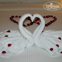 фото из отзыва ID 859179