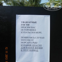 фото из отзыва ID 859197