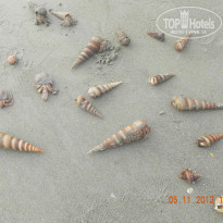 фото из отзыва ID 859197