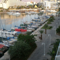 фото из отзыва ID 859246