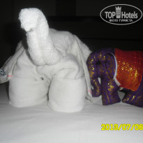 фото из отзыва ID 859300