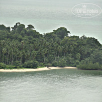 фото из отзыва ID 859335