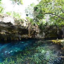 фото из отзыва ID 859404