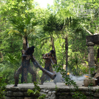 фото из отзыва ID 859404