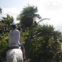 фото из отзыва ID 859404