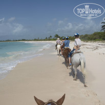 фото из отзыва ID 859404