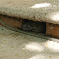 фото из отзыва ID 859404