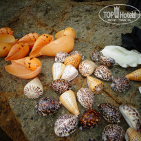 фото из отзыва ID 859498