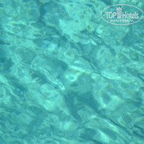 фото из отзыва ID 859593