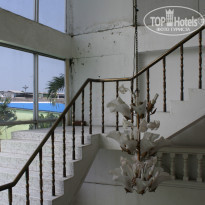 фото из отзыва ID 859599