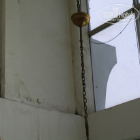 фото из отзыва ID 859599