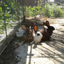 фото из отзыва ID 859767