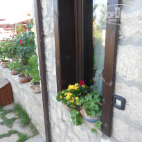 фото из отзыва ID 859767