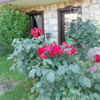 фото из отзыва ID 859767