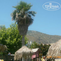 фото из отзыва ID 859778