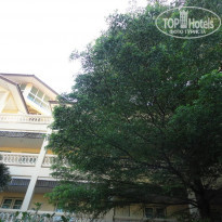 фото из отзыва ID 859792