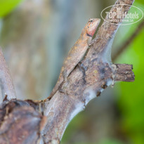 фото из отзыва ID 859875