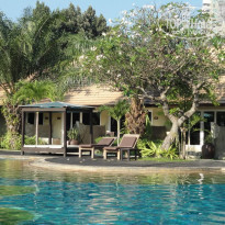 фото из отзыва ID 859902