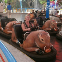 фото из отзыва ID 859987