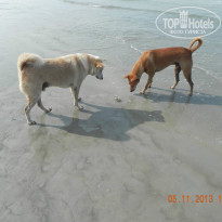 фото из отзыва ID 859197