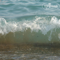 фото из отзыва ID 859098