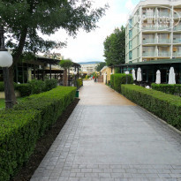 фото из отзыва ID 859946