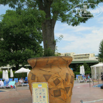 фото из отзыва ID 859946