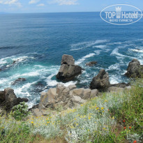 фото из отзыва ID 859946