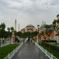 фото из отзыва ID 859946