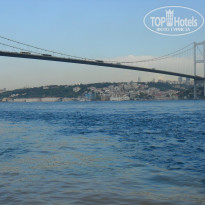 фото из отзыва ID 859946