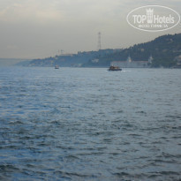 фото из отзыва ID 859946