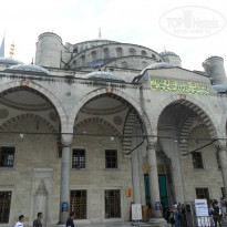 фото из отзыва ID 859946