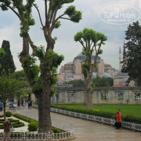 фото из отзыва ID 859946