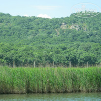 фото из отзыва ID 859946