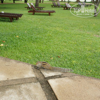 фото из отзыва ID 860106