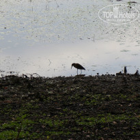 фото из отзыва ID 860106