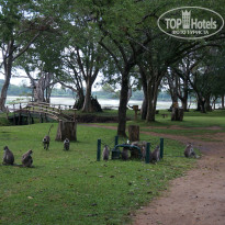 фото из отзыва ID 860106