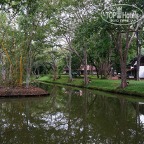 фото из отзыва ID 860106