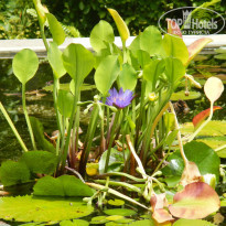 фото из отзыва ID 860124