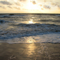 фото из отзыва ID 860205