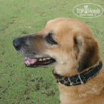 фото из отзыва ID 860205