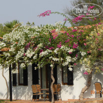 фото из отзыва ID 860557