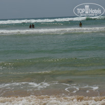 фото из отзыва ID 860856